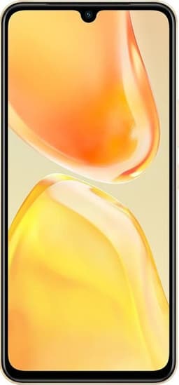 vivo V25