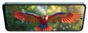 Honor X7b 5G imagen 2
